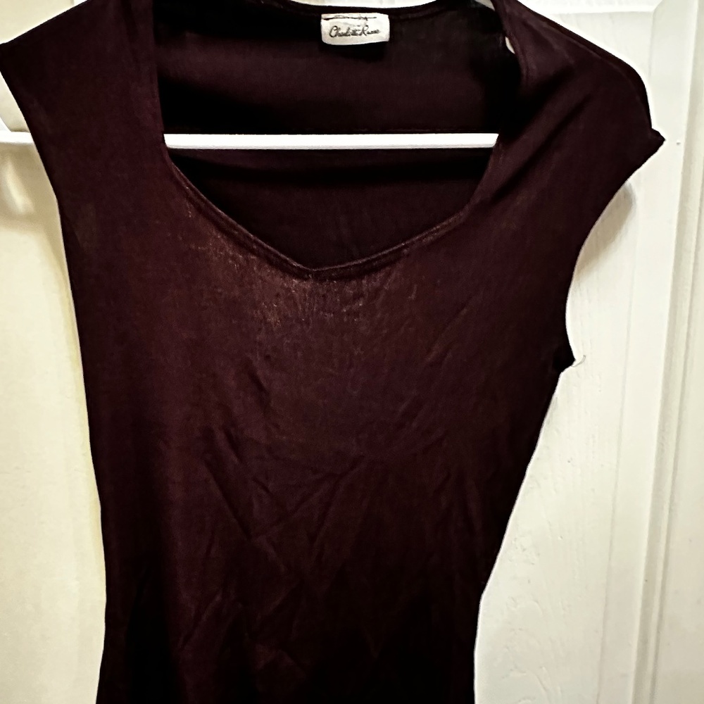 A maroon, sleeveless, v-neck shimmery shirt by Charlotte Russe. Very flattering
